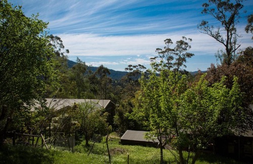 Warburton Cama Y Desayuno | Buttercup Hill
