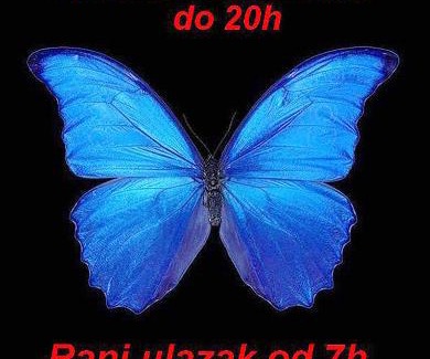 Jagodina Apartamento | Butterfly Apartment