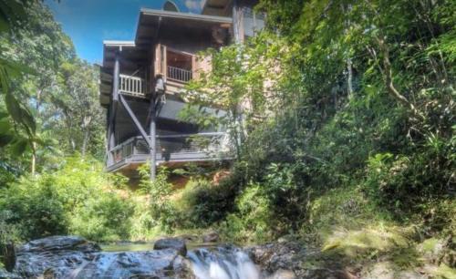 Cow Bay Casa | BUTTERFLY BEND - 3 Bedroom Daintree Beach House