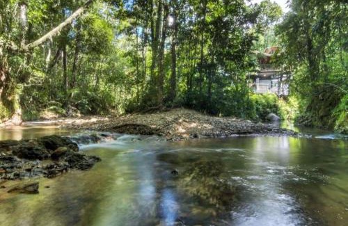 Cow Bay Casa | BUTTERFLY BEND - 3 Bedroom Daintree Beach House