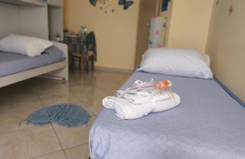 Scordia Cama Y Desayuno | Butterfly Room