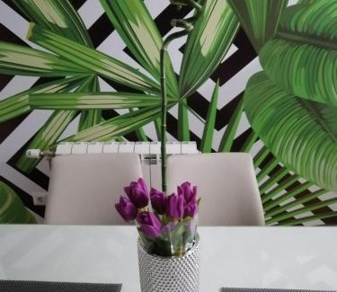 Cacak Apartamento | Butterfly