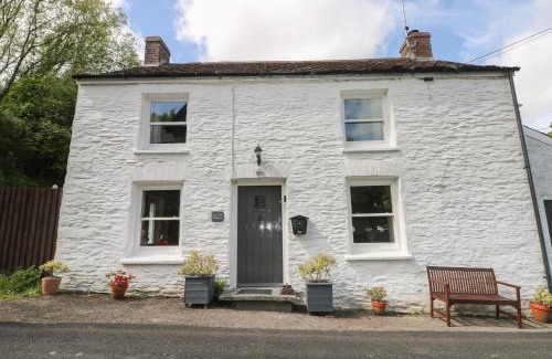 Clydey Casa | Bwthyn Y Felin Star