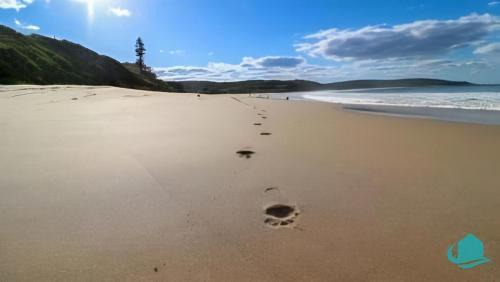 Catherine Hill Bay Casa | By the Beach at Catho