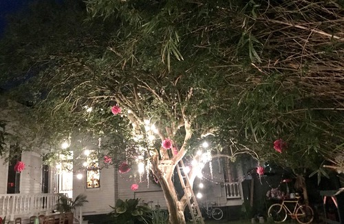 Bywater Casa | Bywater Wonderland, 2 blocks to the river, close to many good things!