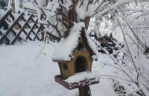 Zarnesti Casa | Căsuța din CRAI