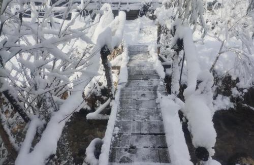 Zarnesti Casa | Căsuța din CRAI