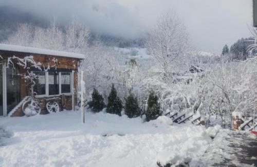 Zarnesti Casa | Căsuța din CRAI
