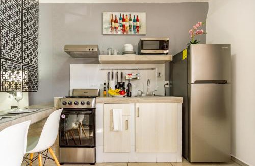 Aguascalientes Apartamento | C - Céntrico Loft Privado - Alegría Housing