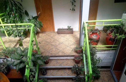 Coyoacan Casa | C huespedes Sn Angel Home - confirme reservacion al telefono siempre -