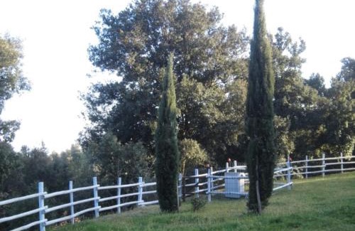 Monteverdi Marittimo Casa | Ca'Cecia