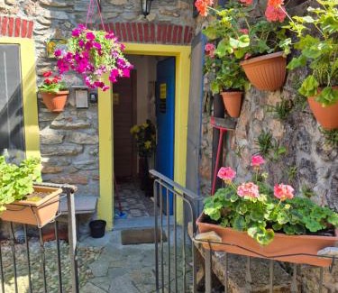 Cavagnano Apartamento | Ca' di Ruchitt