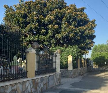 Algoda Casa | Ca Didi