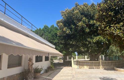 Algoda Casa | Ca Didi