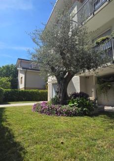 Mogliano Veneto Casa | Ca' Olivo