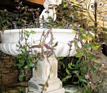 Castello Apartamento | Ca' Querini - Apartment