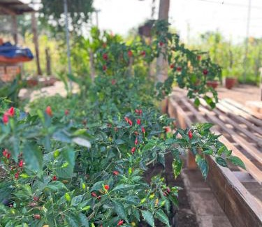 Aserradores Casa | Cabaña Anahuac