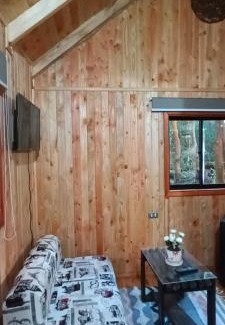 Pucon Apartamento | Cabaña Arrayan