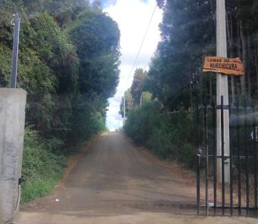 Canete Casa | Cabaña bosque nativo