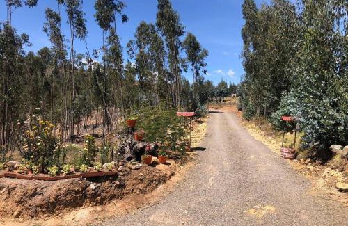 Iza Casa | CABAÑA BUENAVISTA es un lugar para descansar.