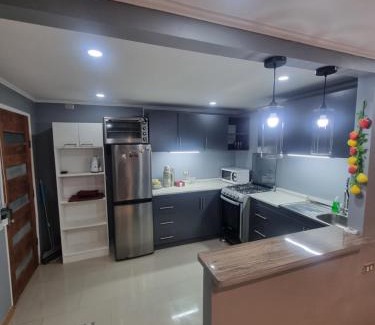 Ancud Apartamento | Cabaña