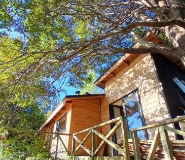 Cunco Chalet De Esquí | Cabaña con vista al Lago Colico