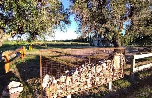 Cuadro Nacional Chalet De Esquí | Cabaña de campo La Tabanerina