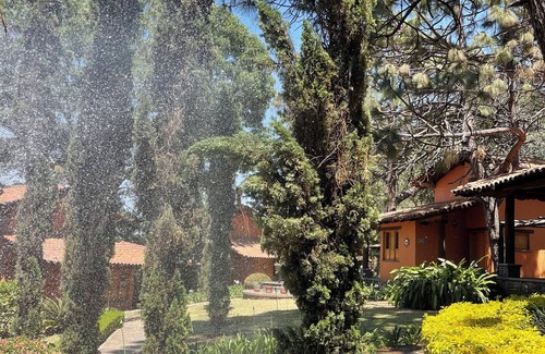 Mazamitla Cabina | Cabaña de lujo con jardines excepcionales (Se aceptan mascotas)