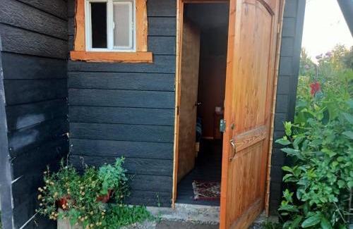 Cunco Apartamento | cabaña el remo