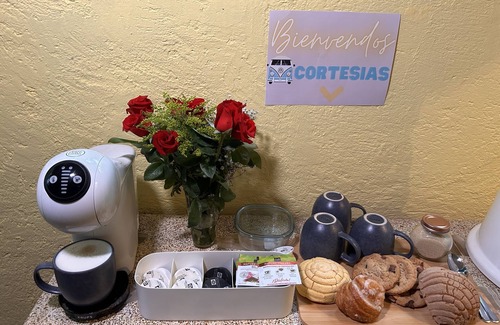 Tepoztlan Cabina | Cabaña en el corazón del bosque - Petfriendly
