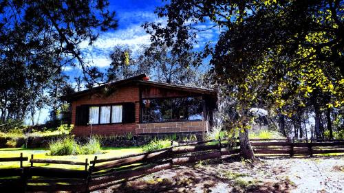 Acaxochitlan Otro | Cabaña en medio del bosque ZA