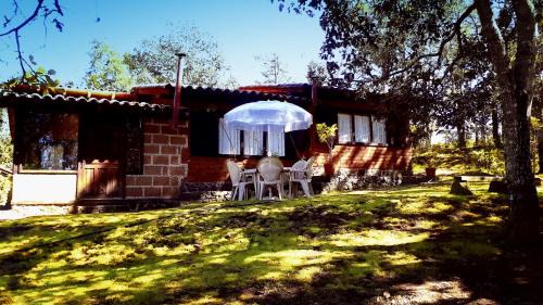 Acaxochitlan Otro | Cabaña en medio del bosque ZA