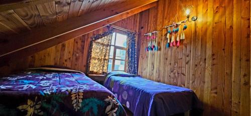 Conaripe Chalet De Esquí | Cabaña Lemu