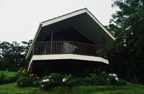 Quesada Apartamento | Cabaña Montaña de Sueños