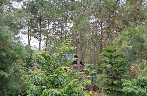 Siguatepeque Chalet De Esquí | Cabaña monte de los olivos