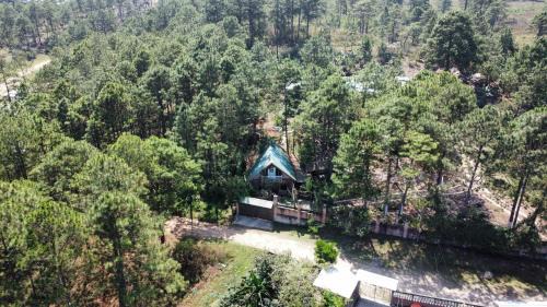 Siguatepeque Chalet De Esquí | Cabaña monte de los olivos