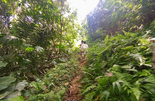 Dibulla Cabina | Cabaña Nuisuni