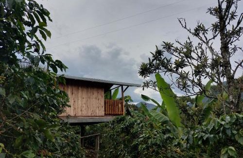 Jardin Apartamento | Cabaña octaluz