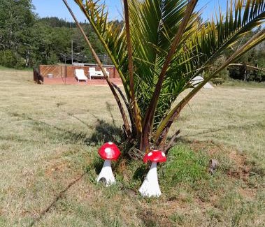 Los Alamos Chalet De Esquí | Cabaña Parcela Nativo