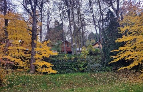 San Martin de los Andes Casa | Cabaña rodeada de bosque nativo para 12 c parrilla