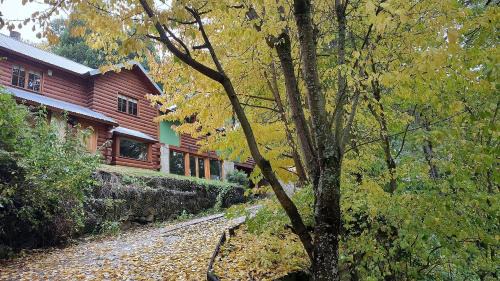 San Martin de los Andes Casa | Cabaña rodeada de bosque nativo para 12 c parrilla