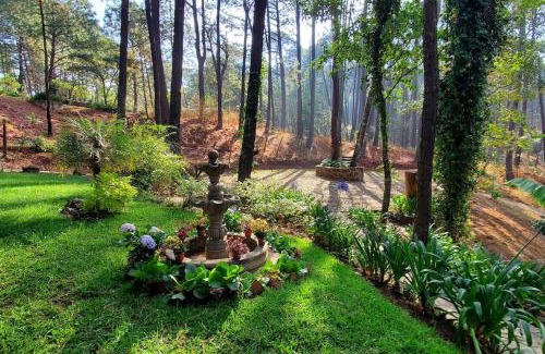 Mazamitla Chalet De Esquí | Cabaña rustica a 1km de cascada