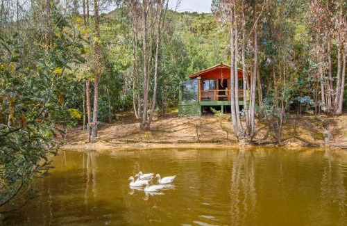 Suesca Otro | Cabaña Tipo Glamping Savieza Life Experience