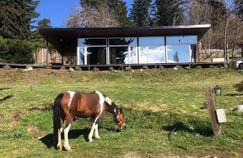 Nahuel Huapi Chalet De Esquí | Cabaña Vintage a metros del lago