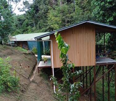 Drake Bay Chalet De Esquí | Cabañas Bajo Bosque Drake