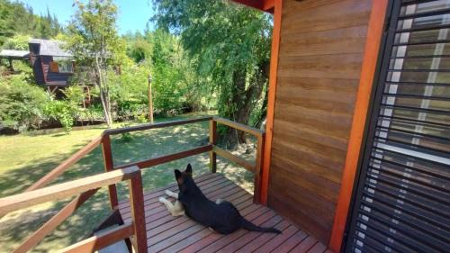 Partido de Tigre Apartamento | Cabañas Delta Tigre