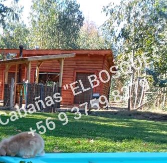 Yerbas Buenas Chalet De Esquí | Cabañas ELBOSQUE
