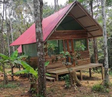 Puerto Narino Apartamento | Cabañas guachayasai