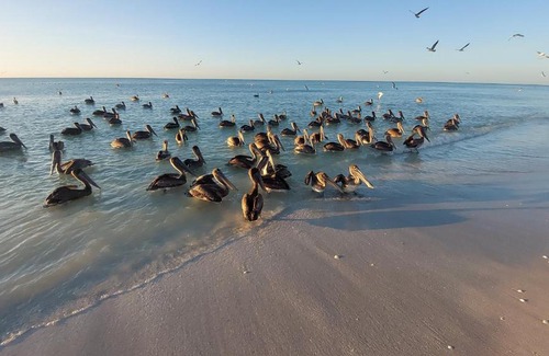 Isla Aguada Otro | CABAÑAS ICACOS