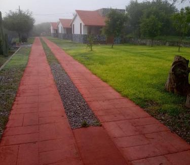 Ixmiquilpan Cabina | Cabañas Los Olivos